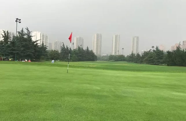 上海虹桥高尔夫图片